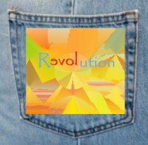 denimpocketreloveution